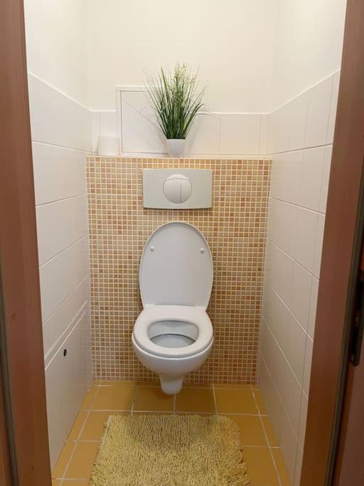 Apartment Castle With Terrace Self-check-in *